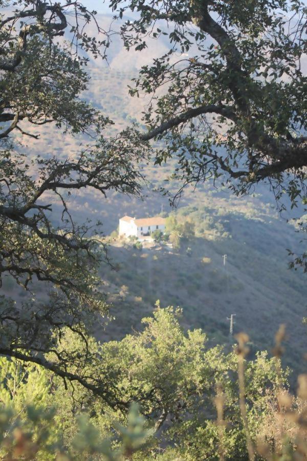 Lagar De Trevenez Montes De Domek alpejski Malaga